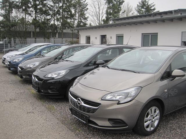 Freddy Horn Automobile